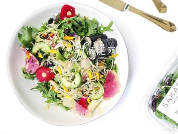 喝什么果汁能减肥窈窕养颜蔬果沙拉