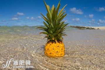 食品,自然,户外,田园风光,站_558963339_Pineapple standing in shallow sea_创意图片_Getty Images China
