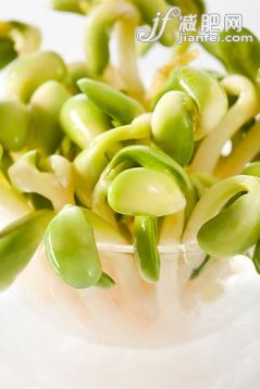 豆芽,蔬菜,食品,饮食,食品饮料_b0e07f09c_新鲜豆芽_创意图片_Getty Images China 豆芽,蔬菜,食品,饮食,食品饮料_b0e07f09c_新鲜豆芽_创意图片_Getty Images China