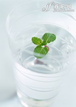 寒冷,饮食,园艺器具,饮料,食品_122695139_Mint Water_创意图片_Getty Images China