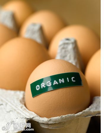 冰箱里必备的6种食品 夏日快乐瘦身