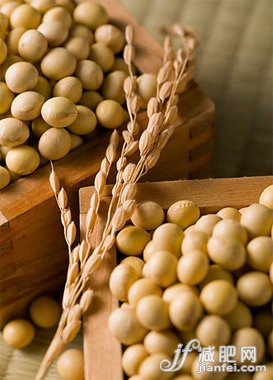 饮食减肥新主义 好代餐让你月瘦16斤