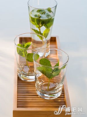 薄荷快速减肥食谱 薄荷快速减肥食谱