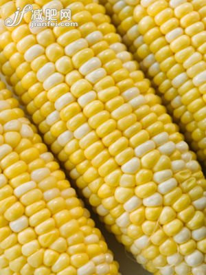 玉米粗纤维含量高
