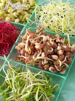 绿豆芽减肥原理