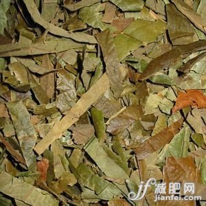 全球瘦身方式 总有适合你的