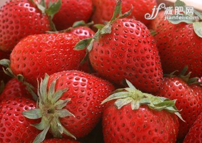 8种超强既营养又减肥的食物