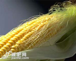 8种排毒食材 排毒肌肤更年轻