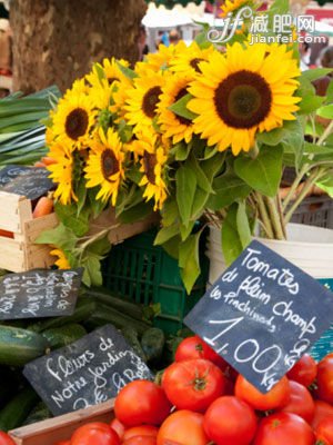 番茄减肥食谱推荐