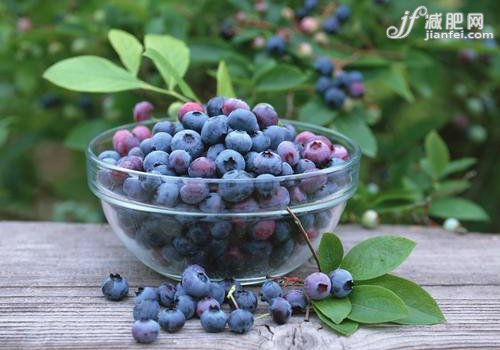 排毒“红与黑”吃出纤瘦身材