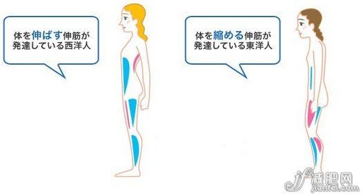 迎战岁末美食挑战，让身材S曲线3D起来！