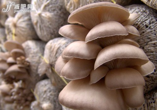 蘑菇减肥餐 每天轻松减1斤