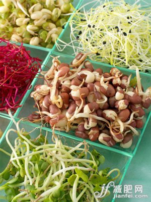 绿豆芽减肥原理