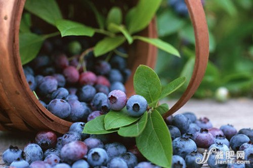 不爱零食的主妇,不是好白领