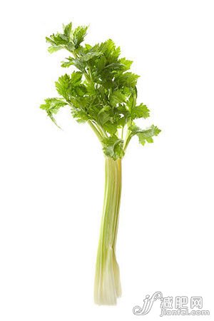 点击图片进入第一页