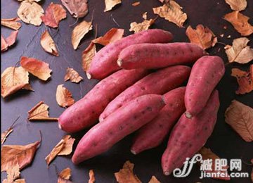  早餐排毒让你无毒一身"轻" 