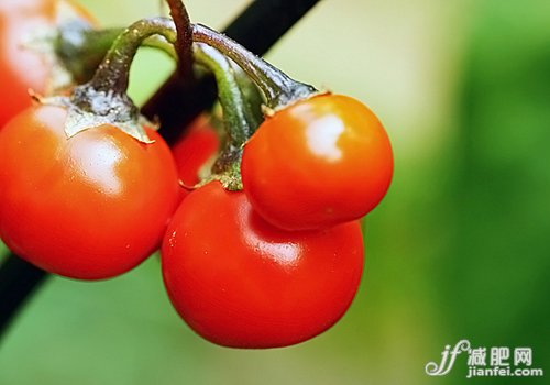 快速减肥食谱 7天抛掉6斤赘肉