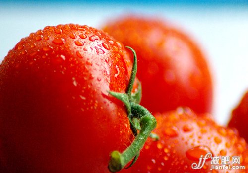 秋季减肥最佳选择 香蕉or番茄 秋季减肥最佳选择 香蕉or番茄