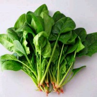 超减肥菠菜汁的做法图解1