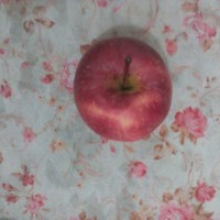 超减肥菠菜汁的做法图解3