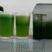 超减肥菠菜汁的做法图解4