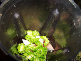 减肥养颜的苹果苦瓜汁的做法步骤：3