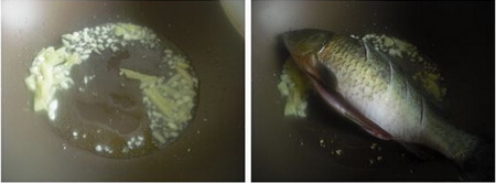 萝卜丝鲫鱼汤做法步骤3