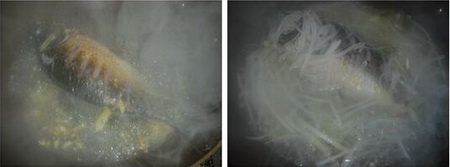 萝卜丝鲫鱼汤做法步骤4