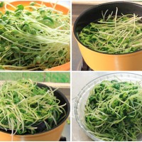 减肥小菜---炝拌黑豆苗的做法图解2