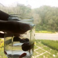 增肌减脂奶香鸡蛋羹(燕麦版)的做法图解3