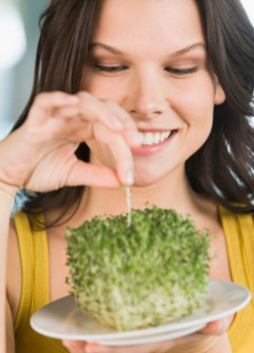 味蕾最爱维生素食谱 体重轻松被掌控