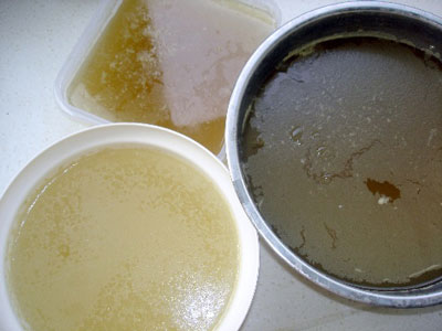 海草凉粉怎么做，如何用海草熬凉粉 瘦身减肥食谱大全