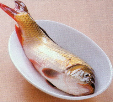 冬瓜鲤鱼汤做法步骤1