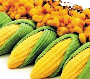 最有效的粗粮减肥法