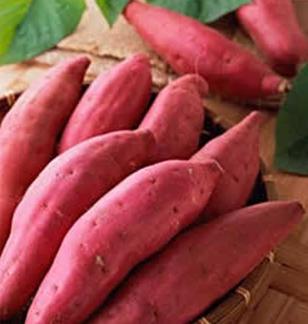 最有效的粗粮减肥法