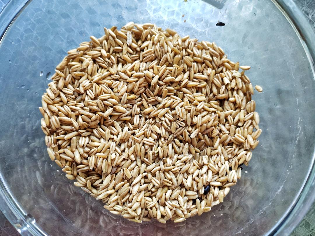 从营养师那学来的杂粮饭配方的做法 步骤2