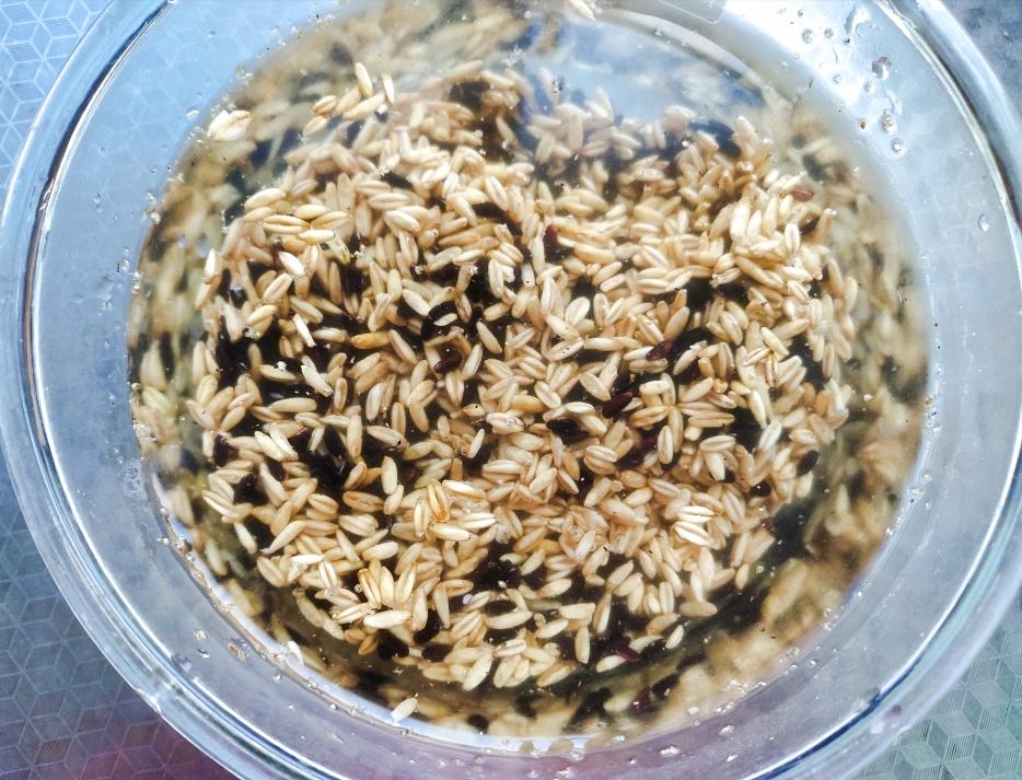 从营养师那学来的杂粮饭配方的做法 步骤3