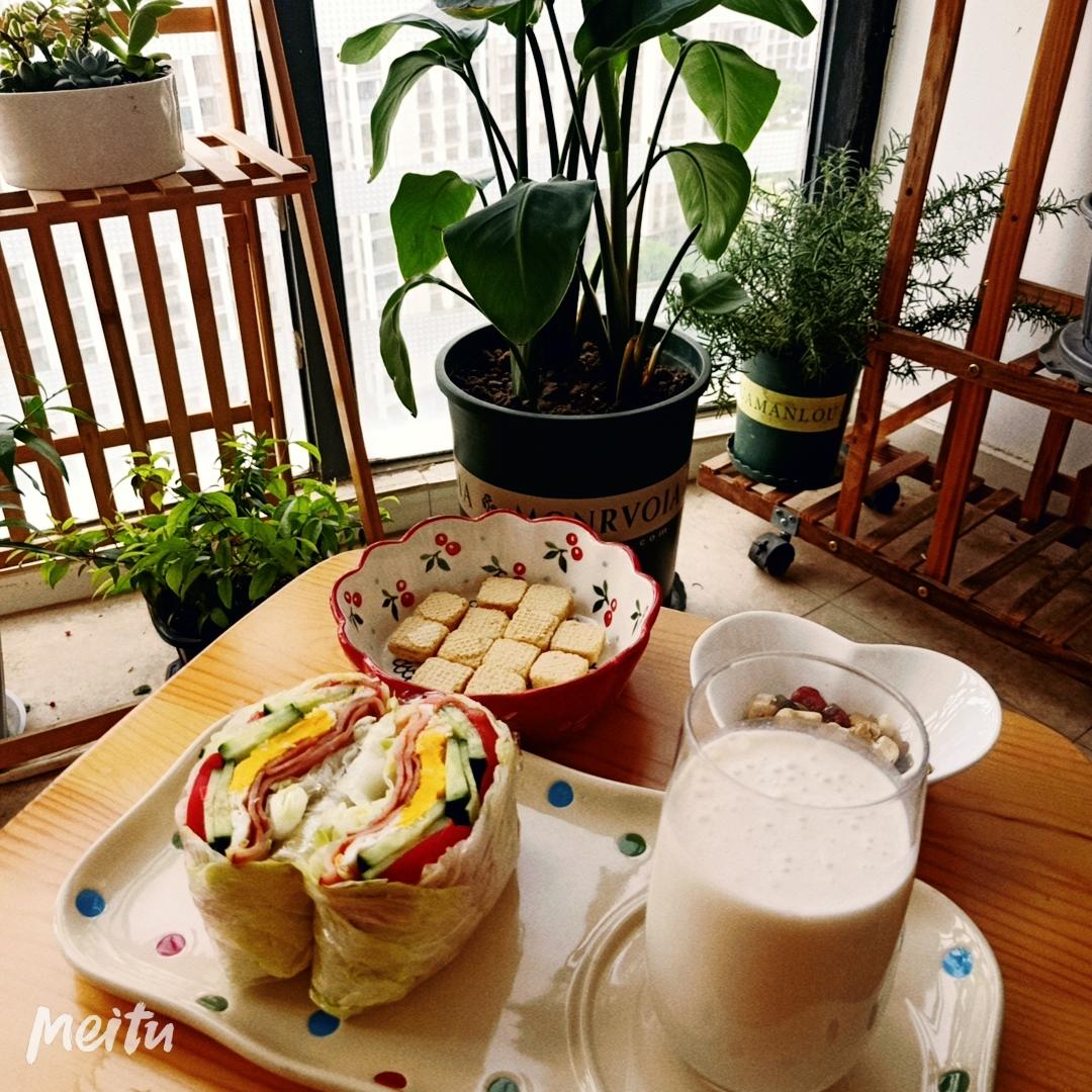 蔬菜三明治#关晓彤版减肥餐的做法 步骤14