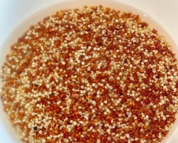 藜麦玉米面窝窝头，减脂主食轻松做的做法 步骤2