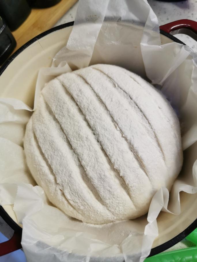 没想到无油无糖可以这么好吃——26小时的铸铁锅欧包（一起减肥吧）的做法 步骤9