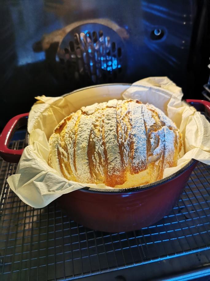 没想到无油无糖可以这么好吃——26小时的铸铁锅欧包（一起减肥吧）的做法 步骤11