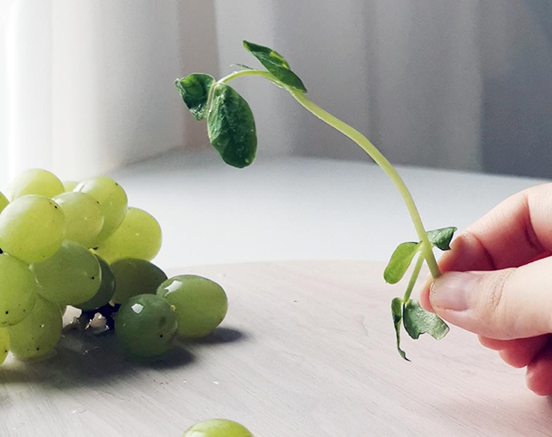 春日浪漫～花束沙拉·果蔬肉｜低卡低脂滋味足｜附4种花型做法的做法 步骤8