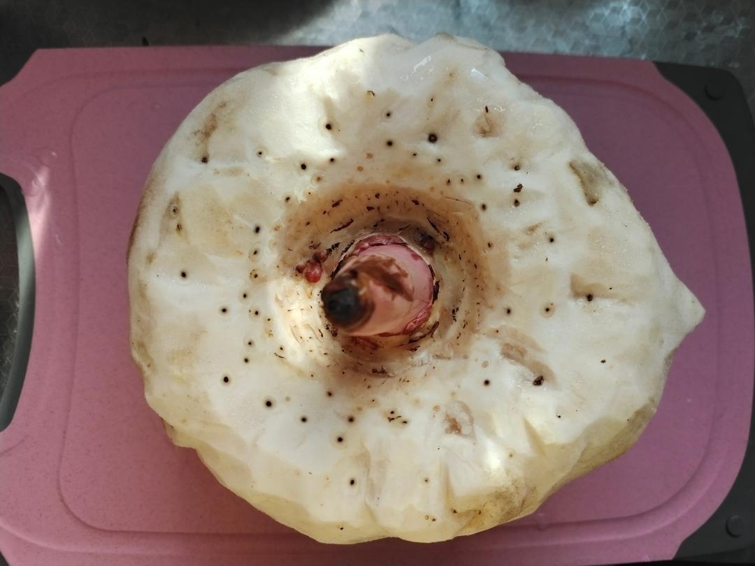 自己做魔芋豆腐↣减肥又健康的做法 步骤1