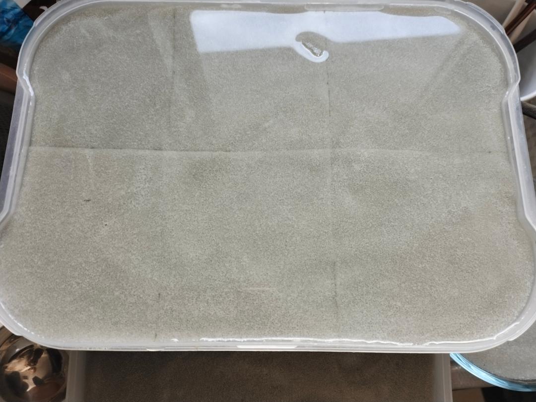 自己做魔芋豆腐↣减肥又健康的做法 步骤6