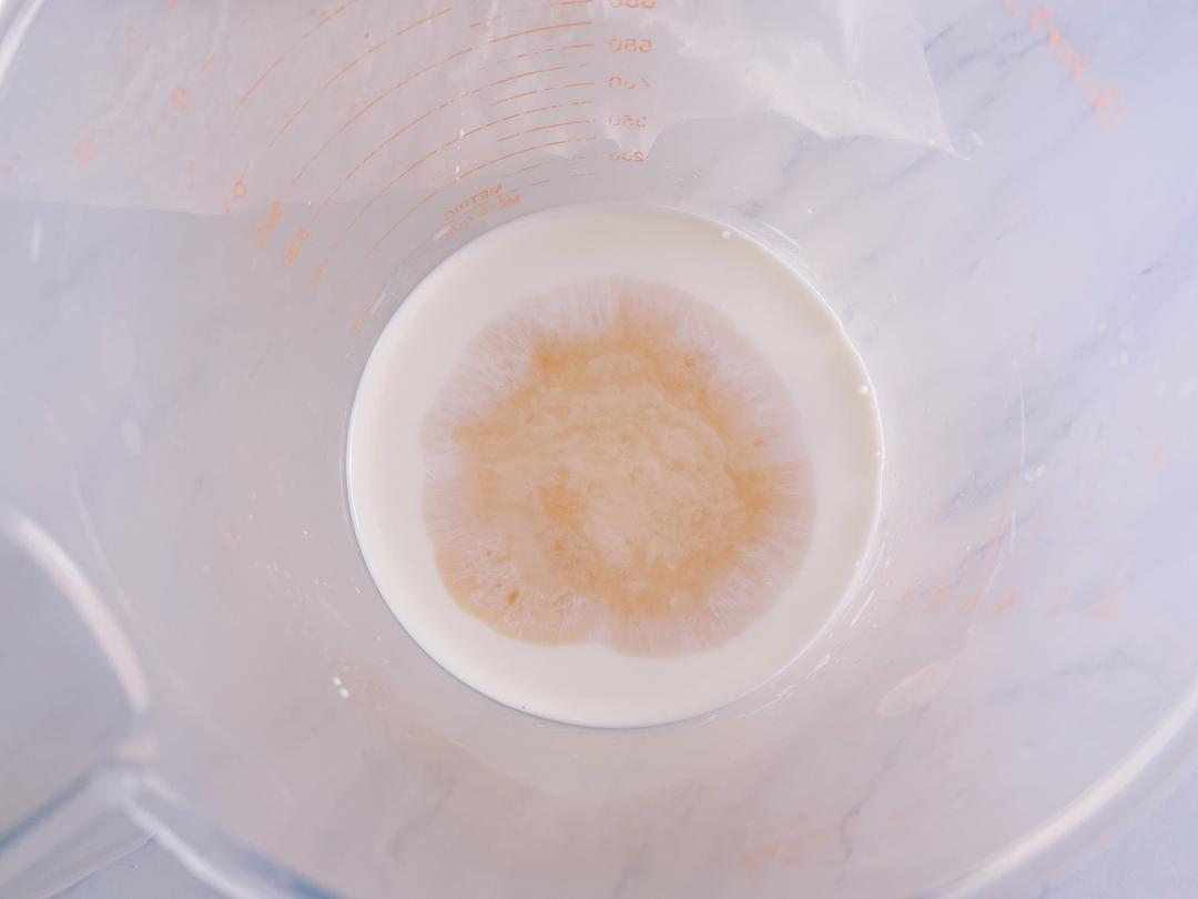 低卡全麦提拉米苏🍰tiramisu🍰无油无糖🍮减肥减脂解馋甜品 一次能炫一盒😆无需打发 熟蛋🥚的做法 步骤13