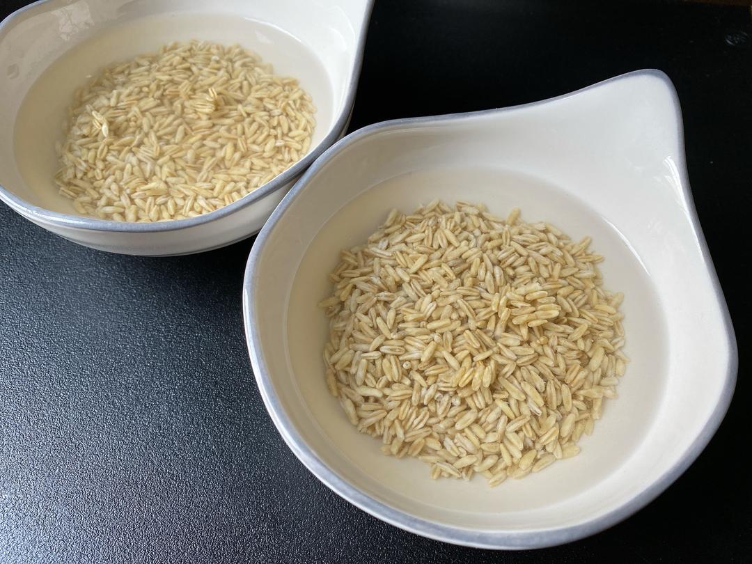 三高、肥胖、减肥瘦身、便秘者的选择：
边煮边长芽的胚芽燕麦米粥（非燕麦片）的做法 步骤8