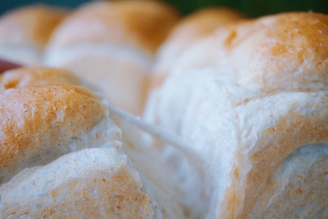 🍞低卡50%全麦吐司面包｜烫种法｜柔软拉丝｜减肥减脂必看的做法 步骤17