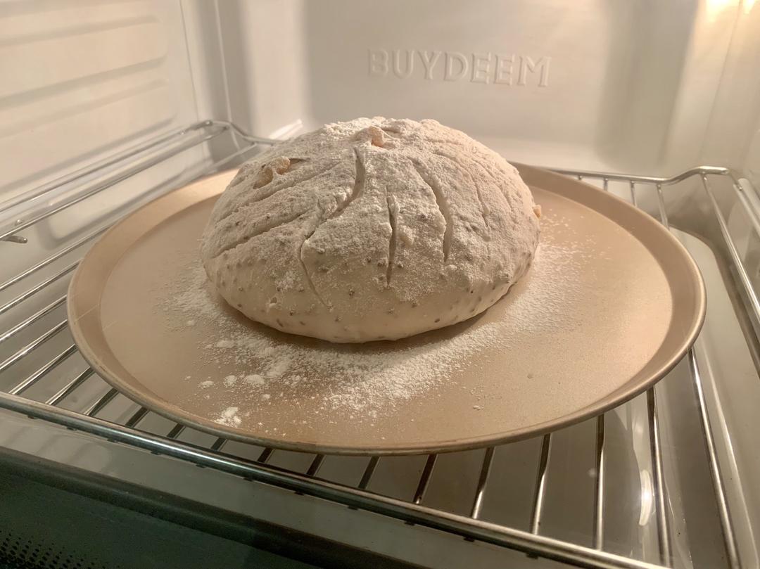 奇亚籽健康欧包_减肥主食的做法 步骤10