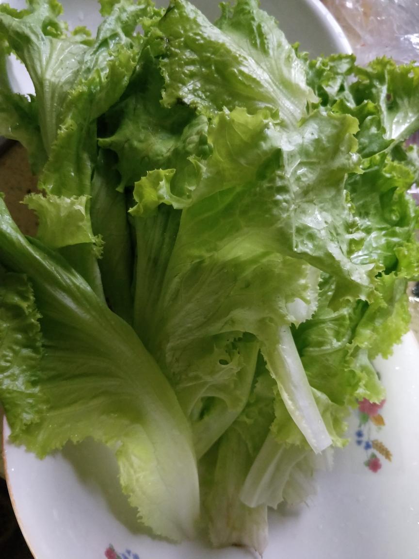 减肥餐-豆皮（千张）卷菜的做法 步骤4