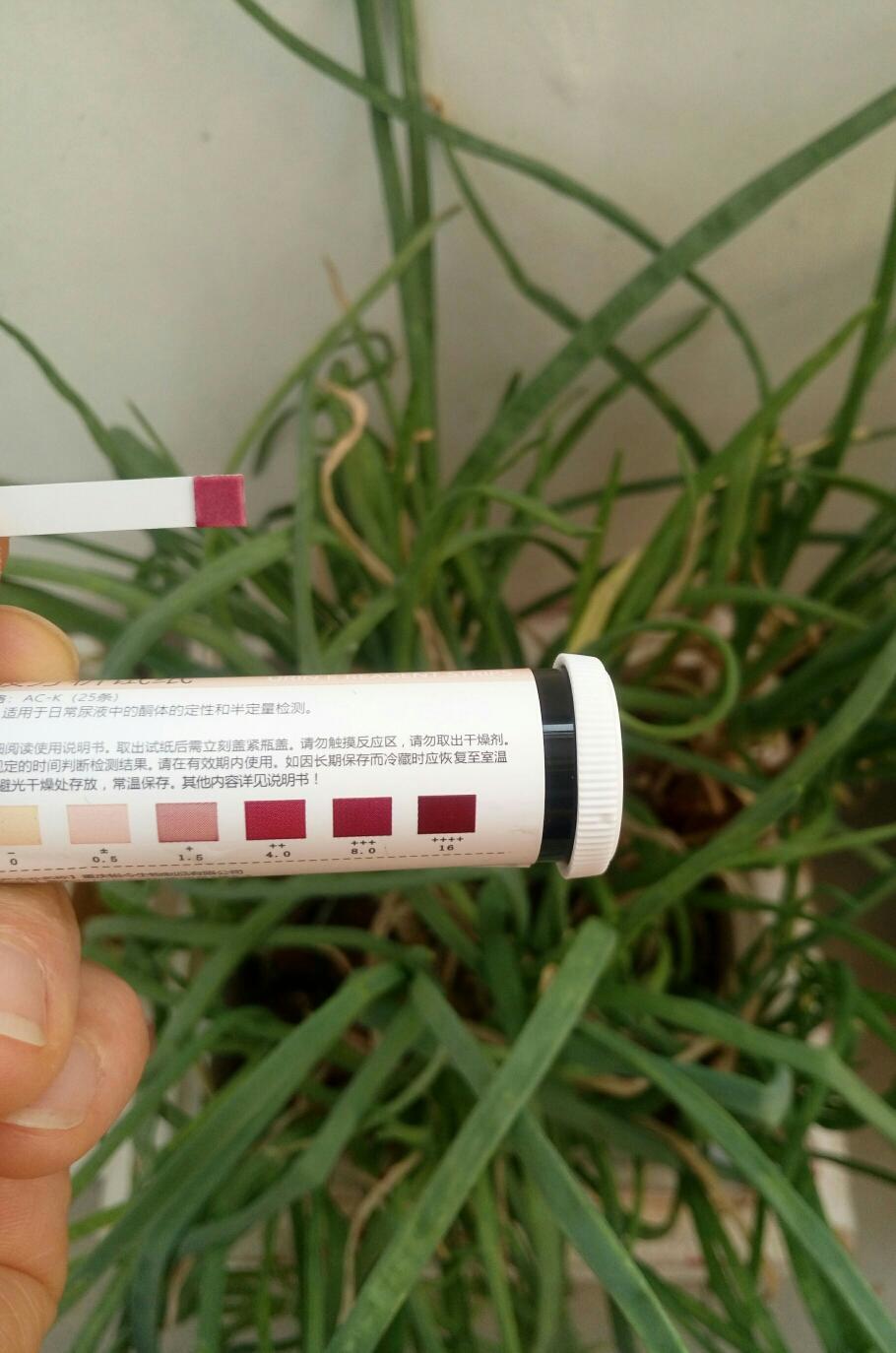 [一日3餐 ]理想燃料生酮减肥餐的做法 步骤18